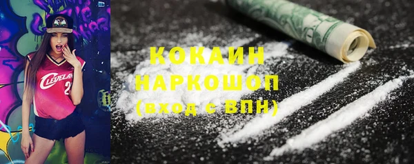 тгк Алексин
